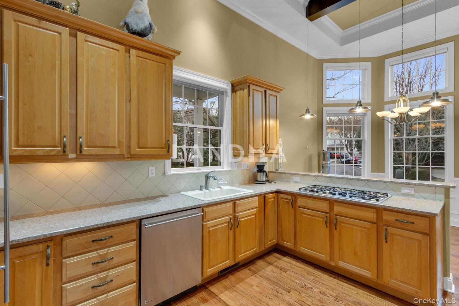 2 Bethpage Court 官网图片 11