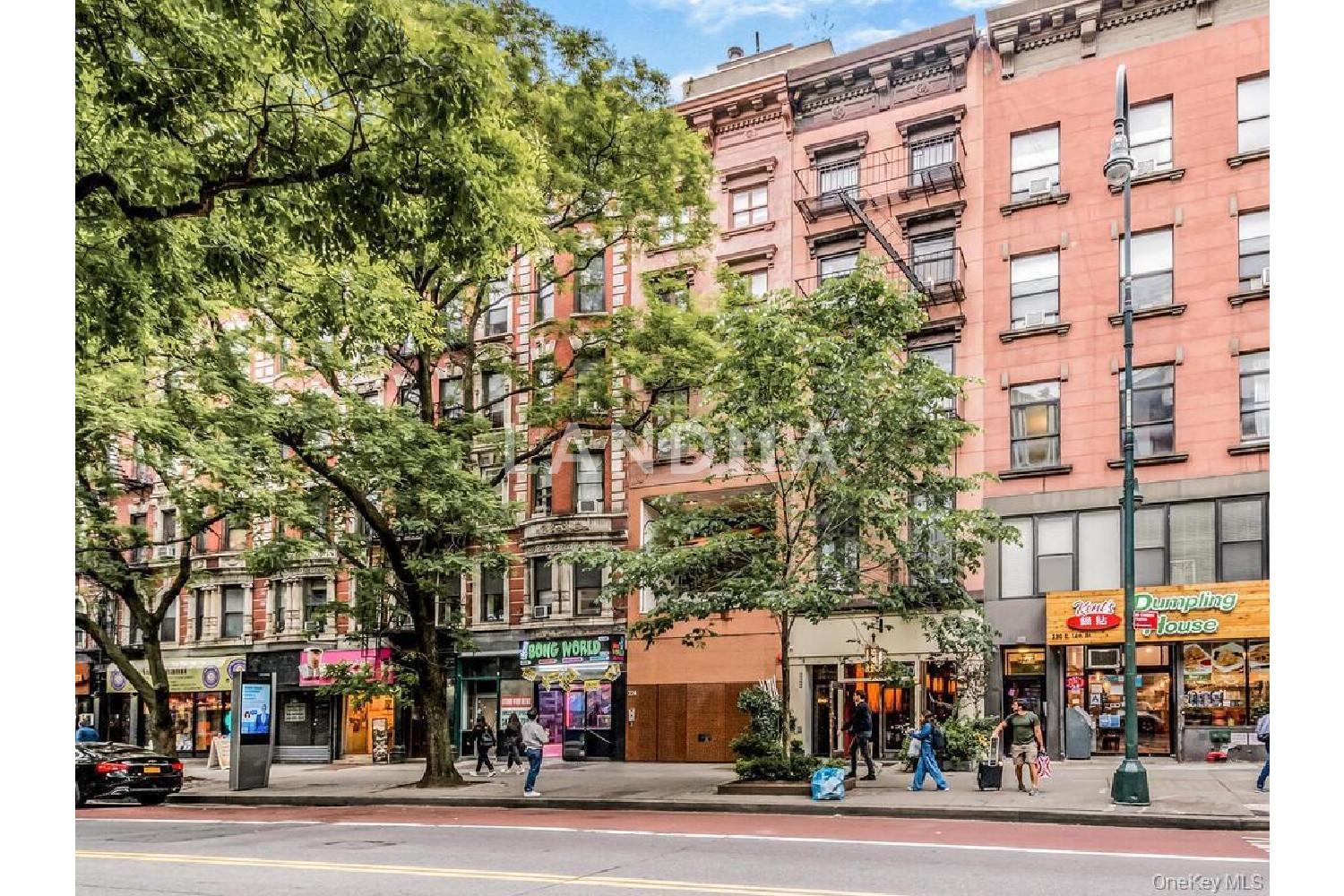 224 E 14th Street  Unit 1 官网图片 4