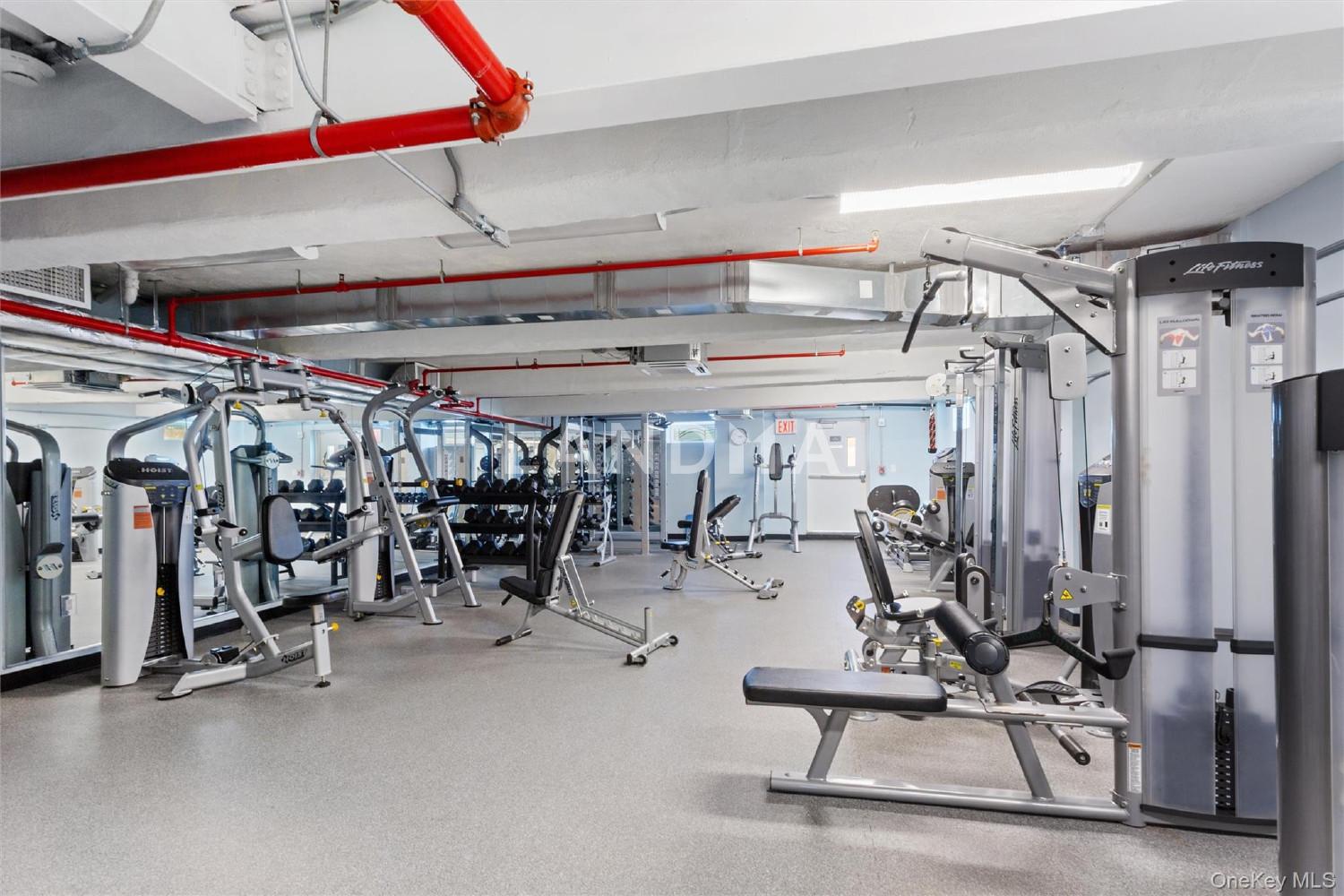 2 Richmond Road  Unit 2A 官网图片 10