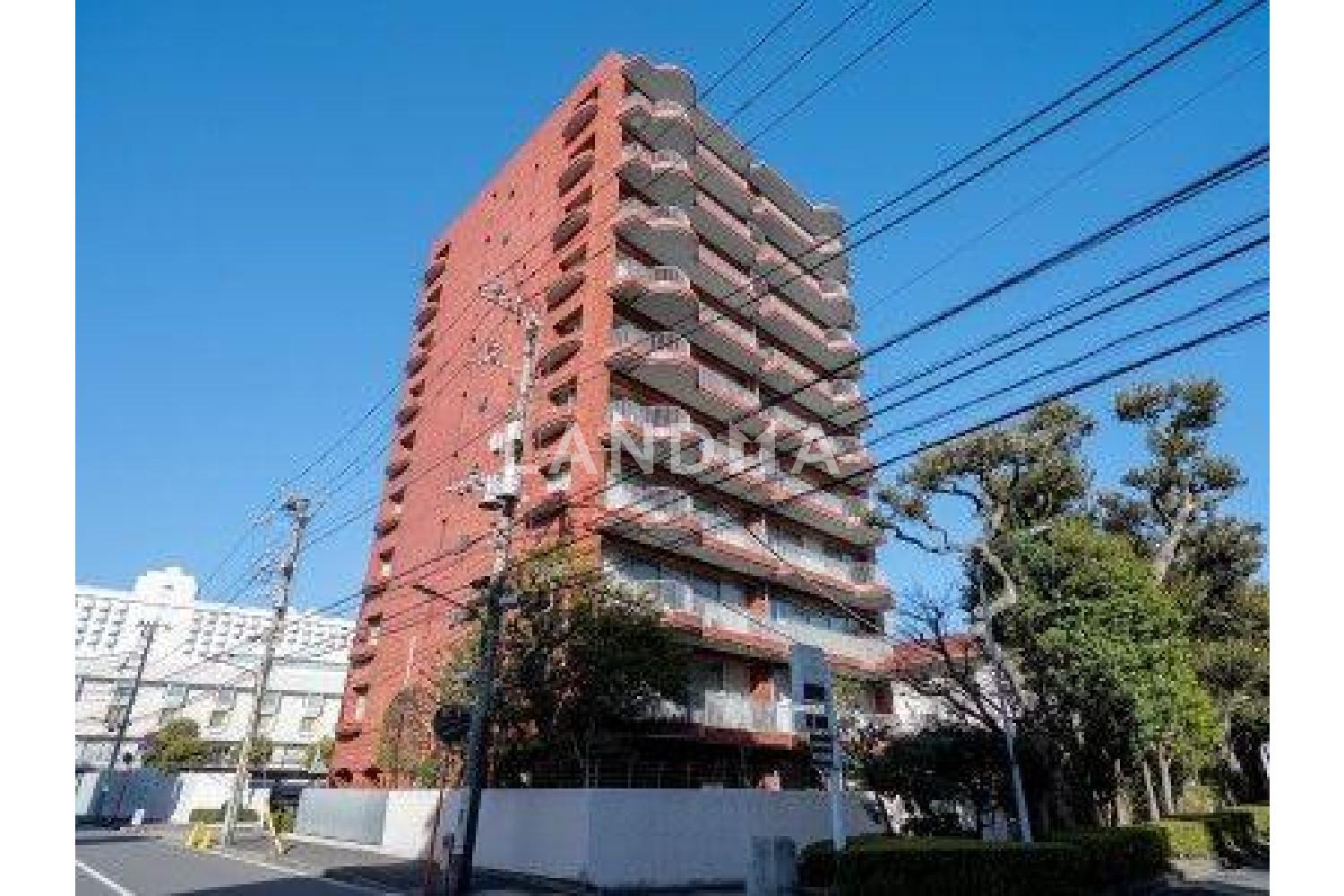 ドルフブルーメン 官网图片 17