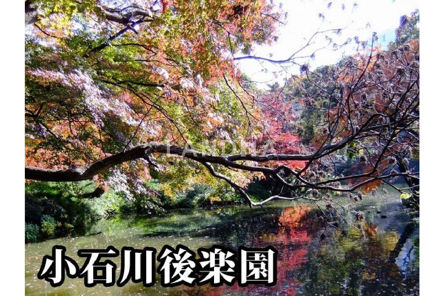 レ・ジェイドクロス千代田神保町 官网图片 13