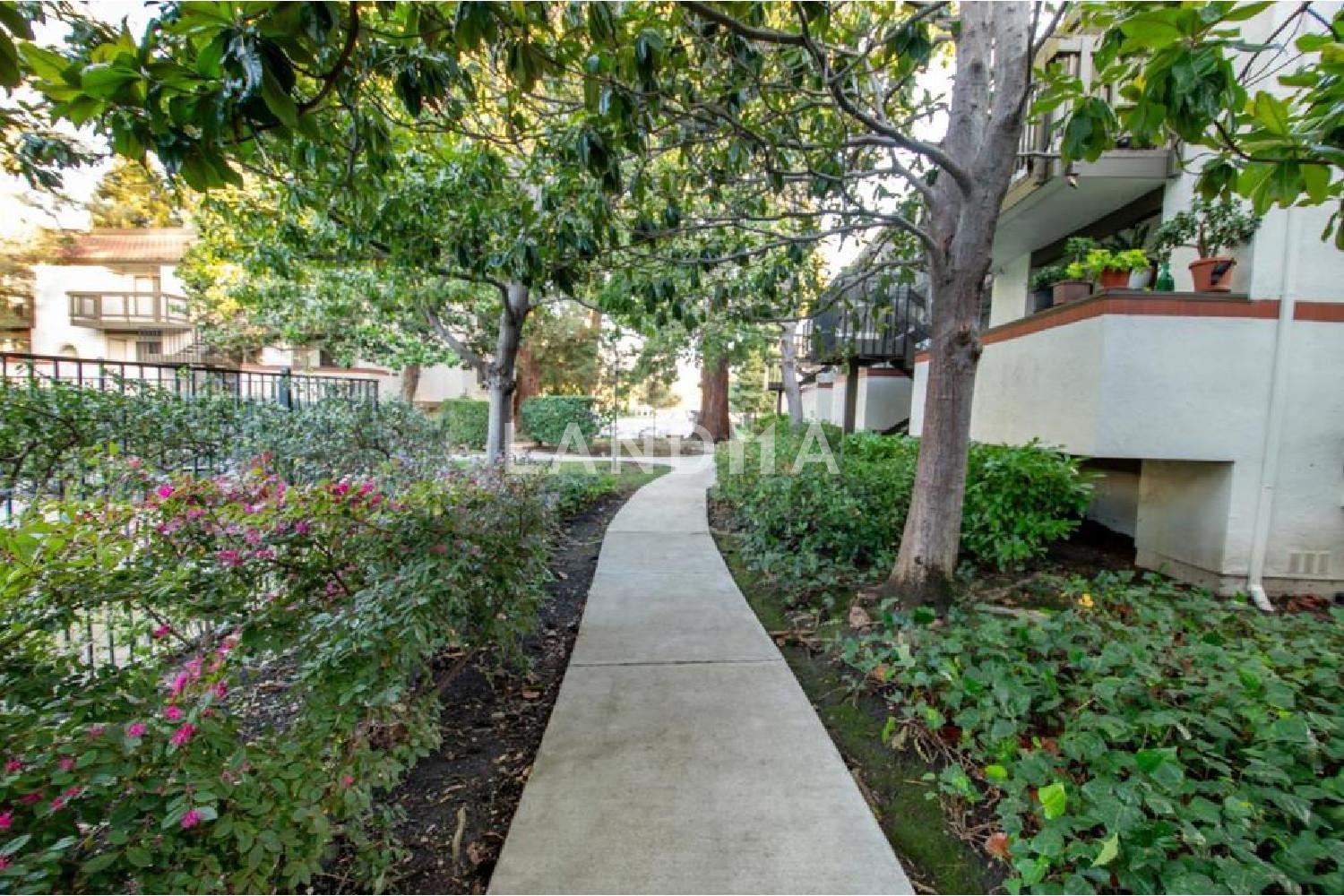 703 San Conrado Terrace #6 官网图片 32
