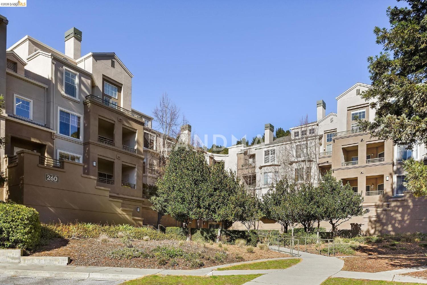 260 Caldecott #314 官网图片 34