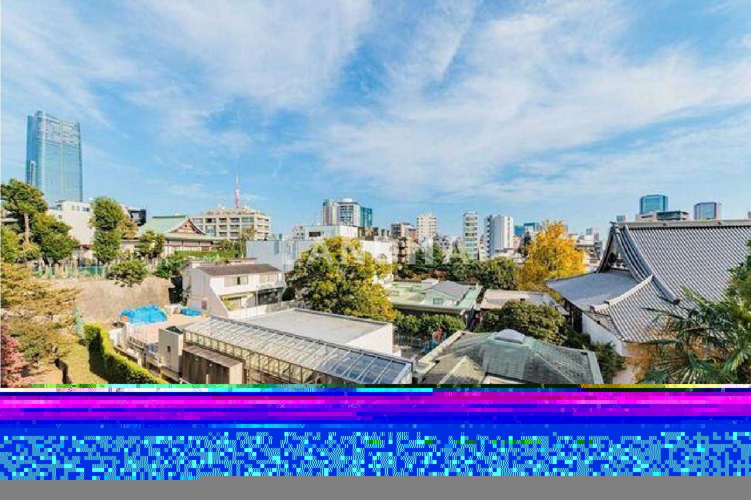 東京都新宿区歌舞伎町1-9-8 一棟売りビル 216.72㎡ 官网图片 2