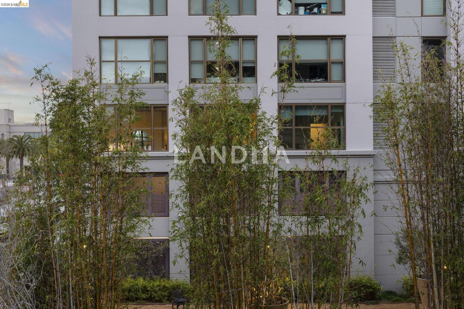 311 2nd St #311 官网图片 49