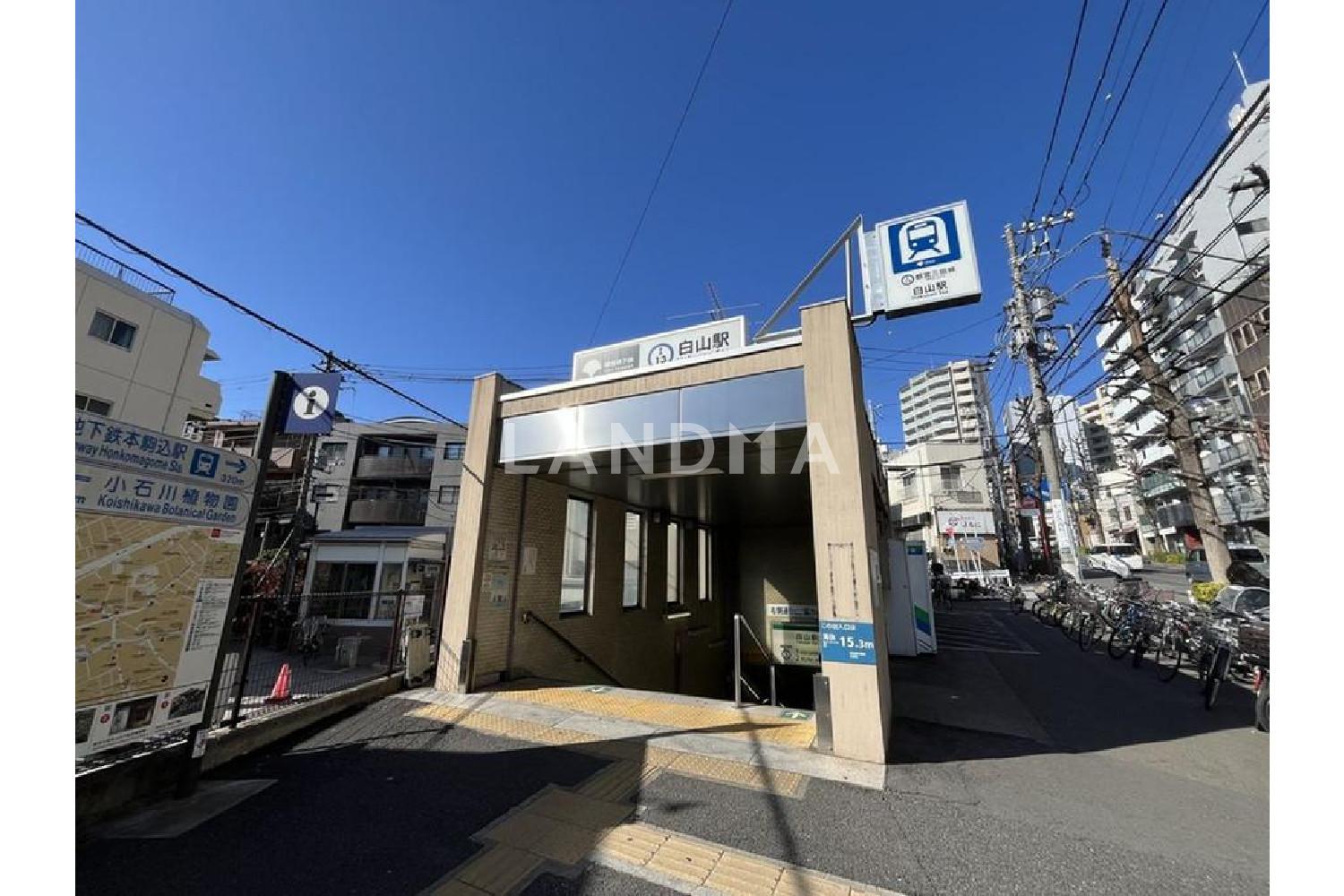 アデニウム文京本駒込 官网图片 6