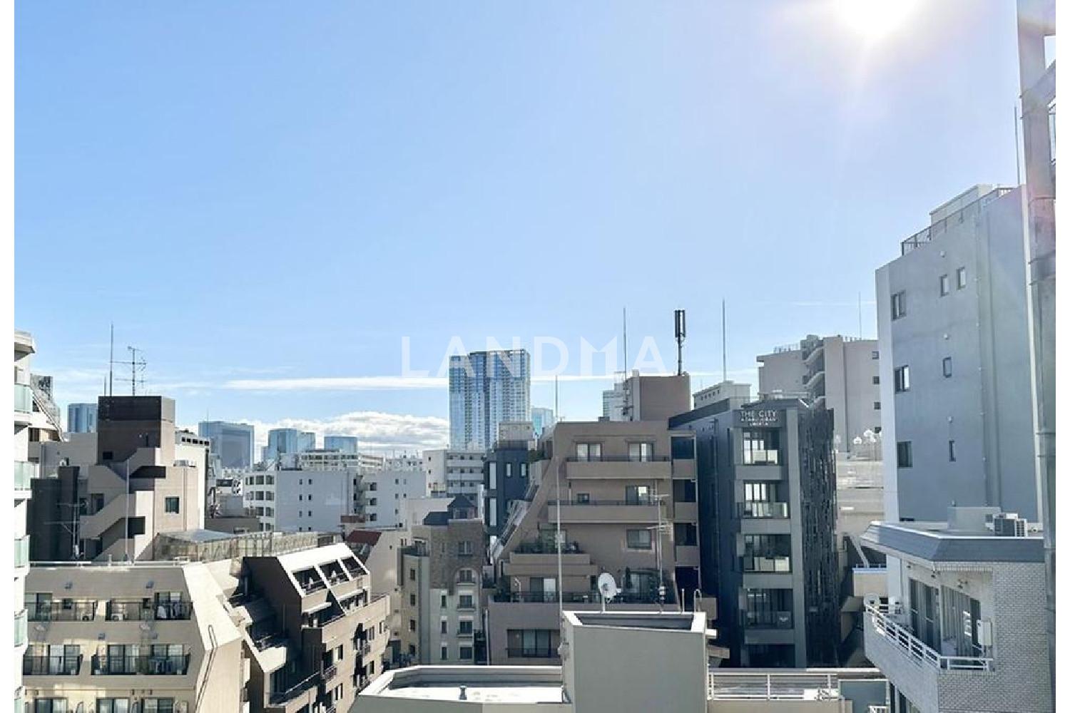 ライオンズマンション麻布十番南 官网图片 18