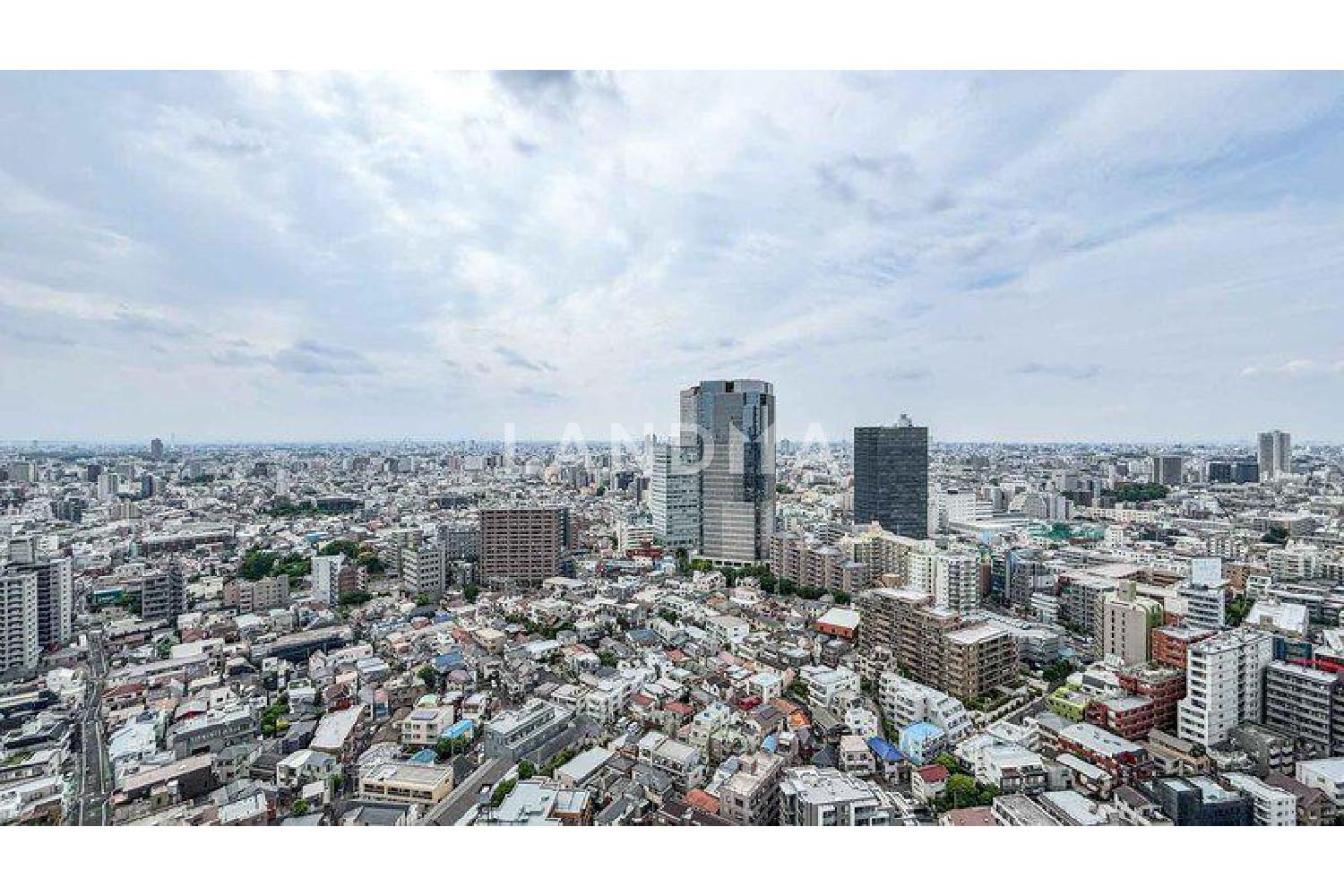 ザ・パークハウス西新宿タワー60 官网图片 13