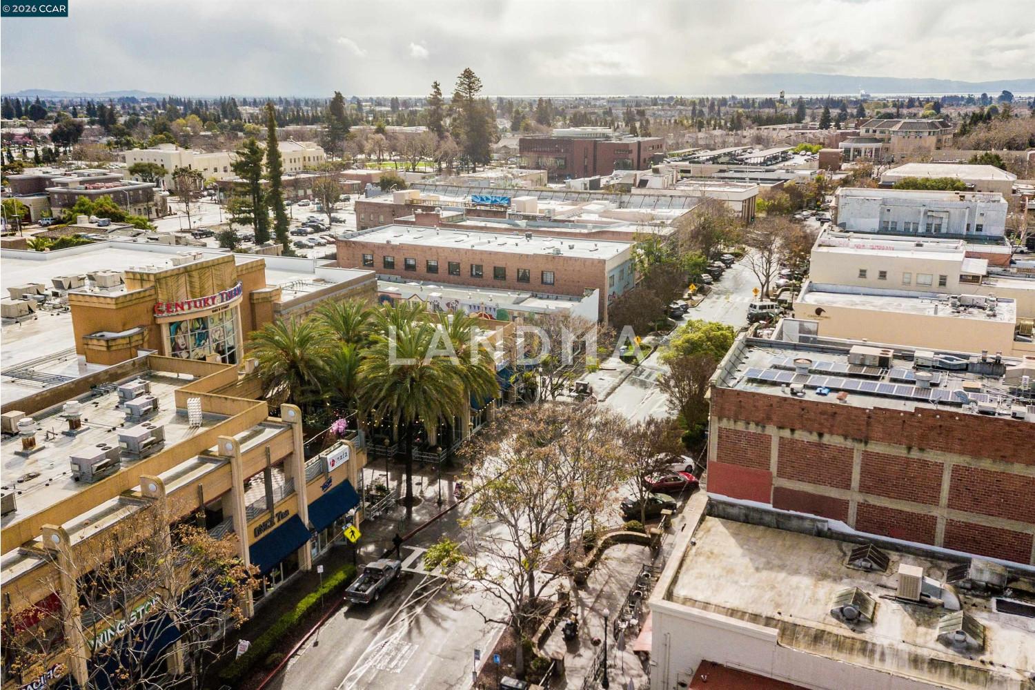 1315 A St #206 官网图片 3