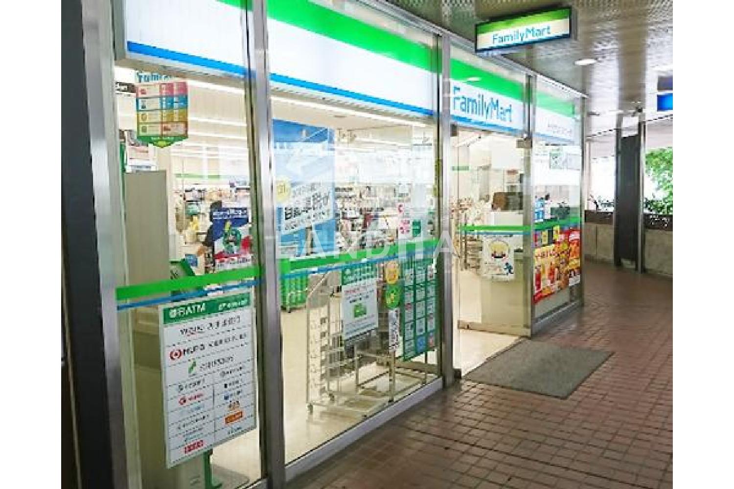 ザ・渋谷レジデンス 官网图片 9