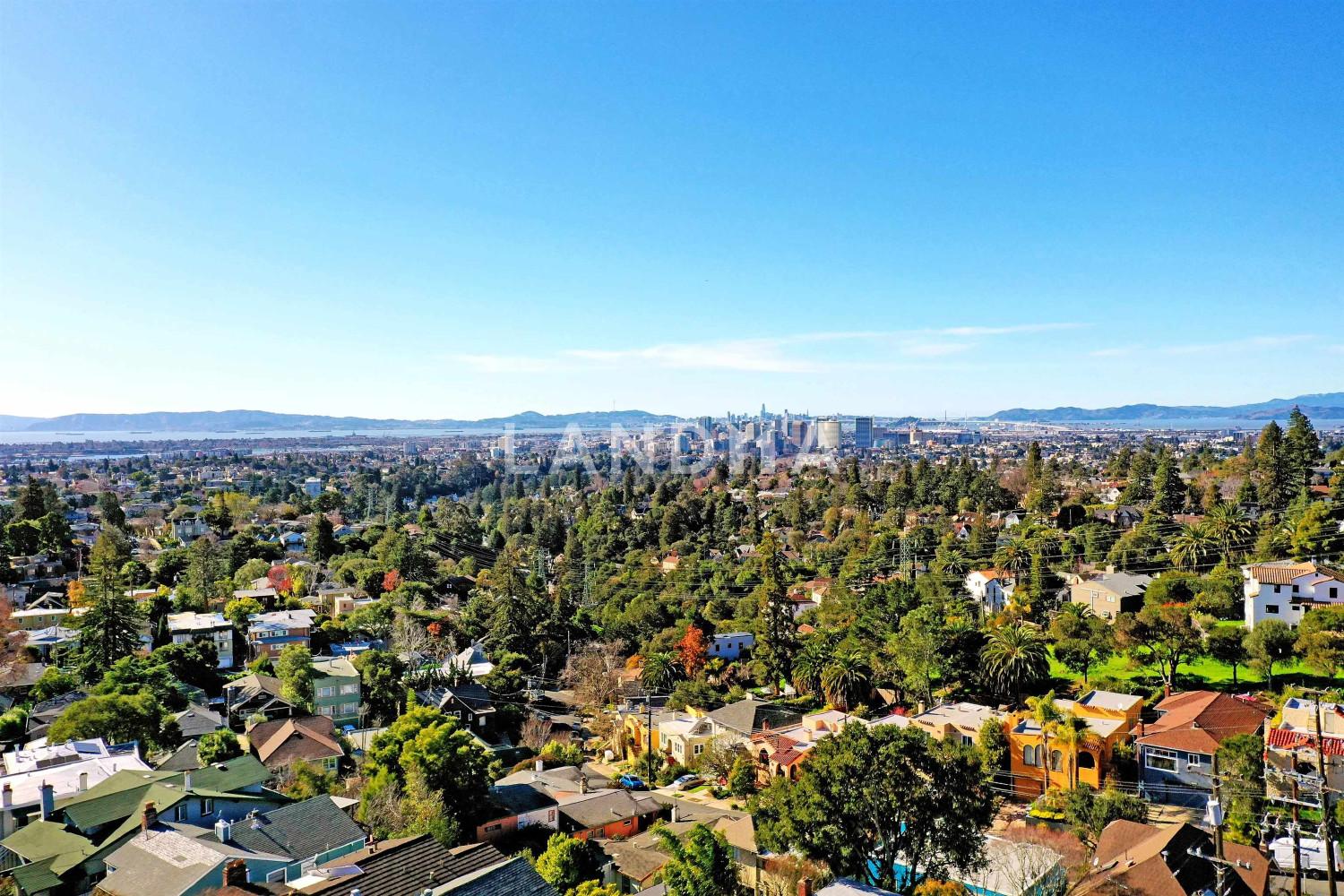 1120 Hollywood Ave #1 官网图片 4