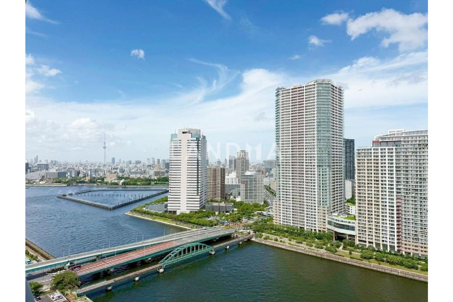 パークタワー晴海 官网图片 14