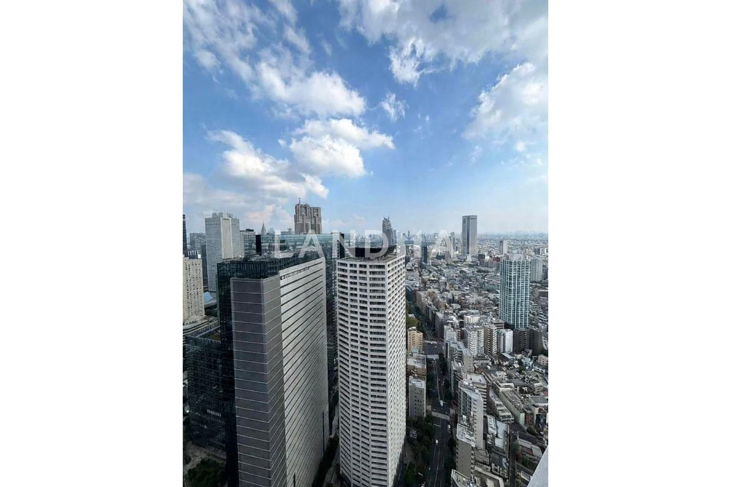 ザ・パークハウス西新宿タワー60 官网图片 12