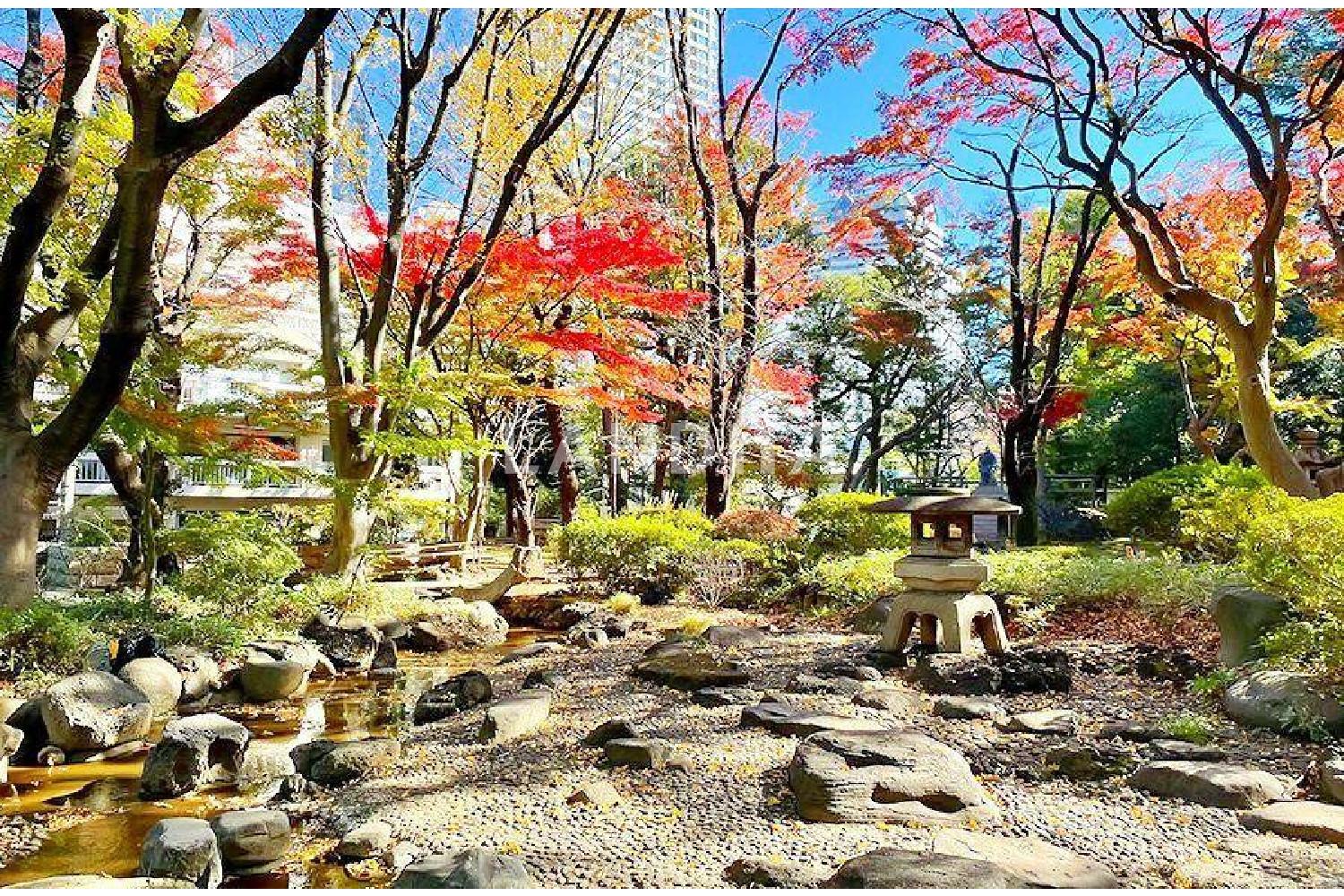 パークコート青山ザ・タワー 官网图片 3