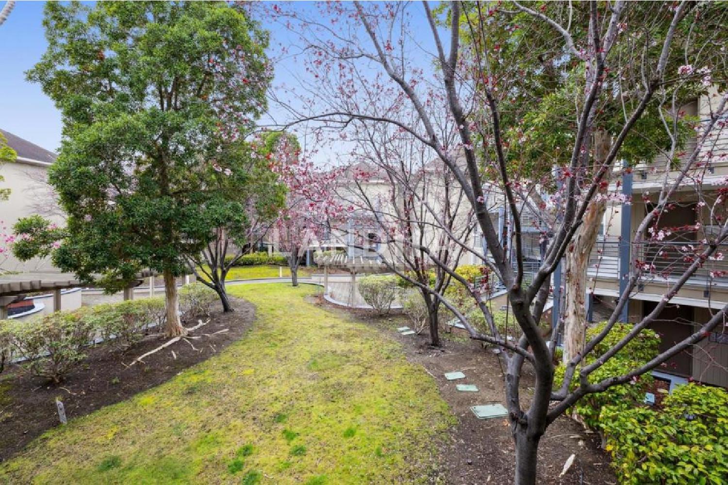 860 Meridian Bay Lane #243 官网图片 63