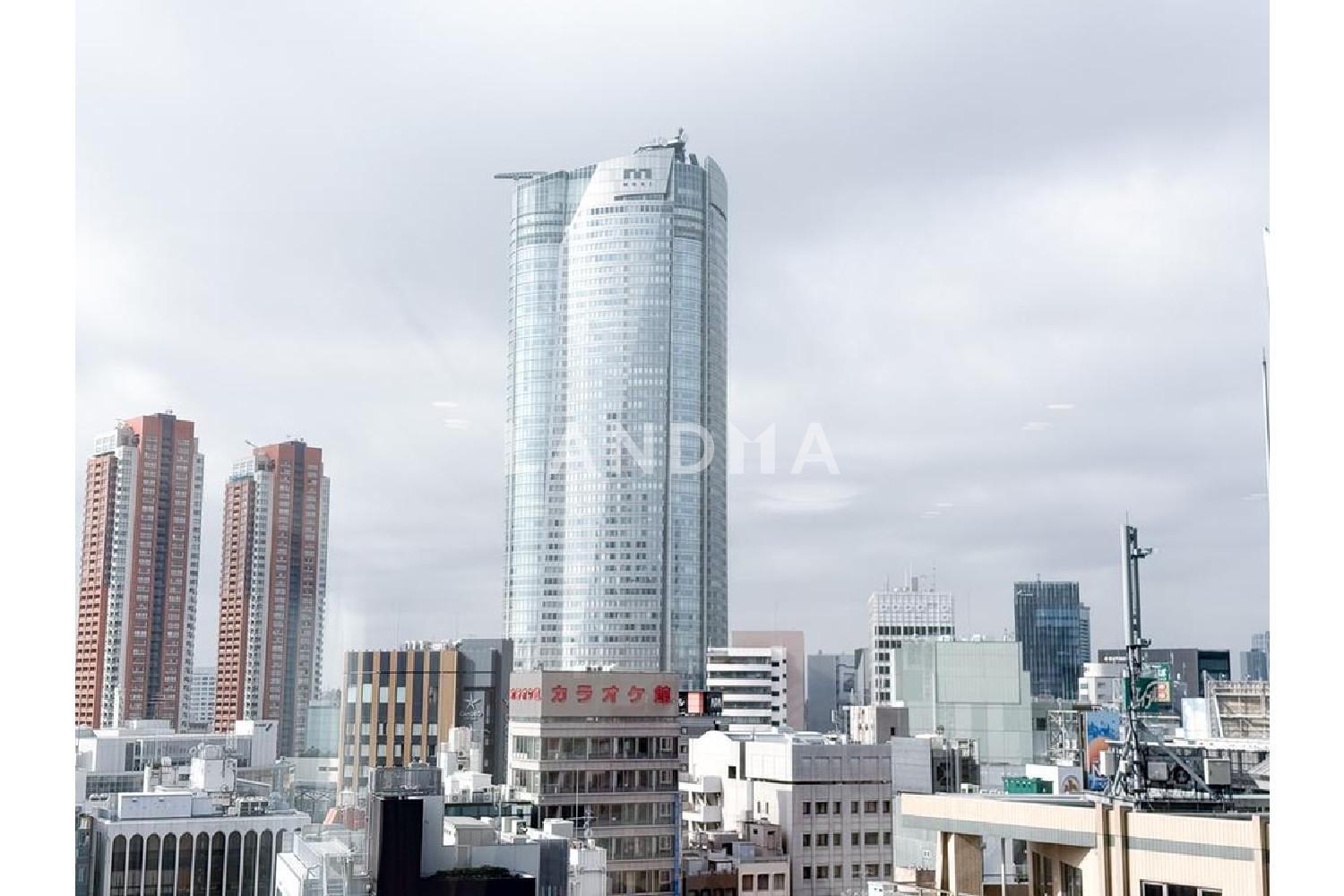 THE ROPPONGI TOKYO クラブレジデンス 官网图片 11