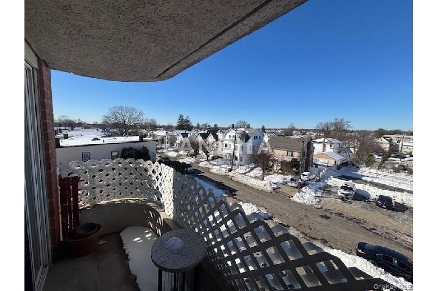 205 Mineola Boulevard  Unit 4D 官网图片 21