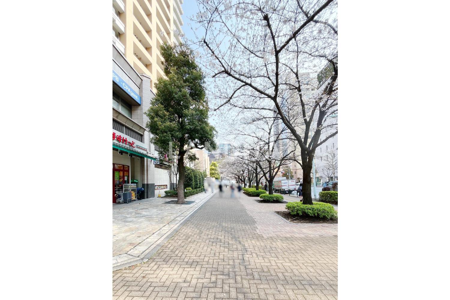東京パークタワー 官网图片 13