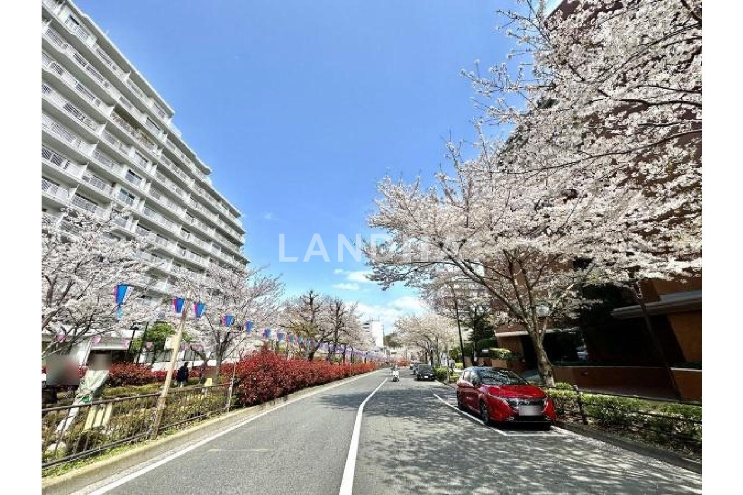 ディアナコート小石川播磨坂 官网图片 8