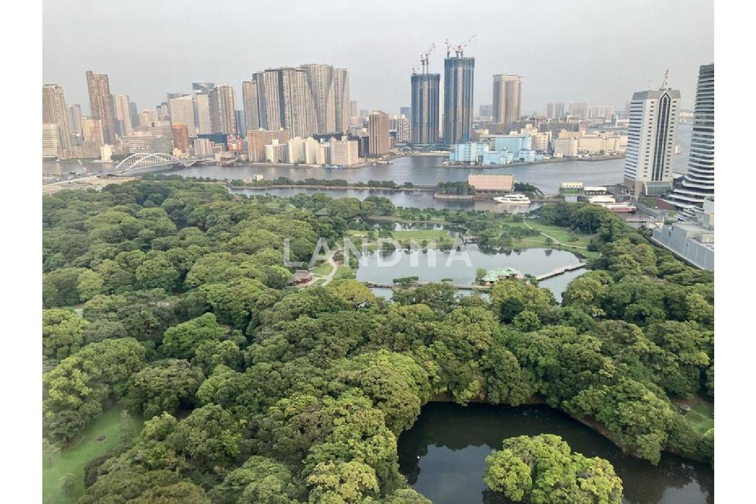 東京ツインパークス　レフトウィング 官网图片 6