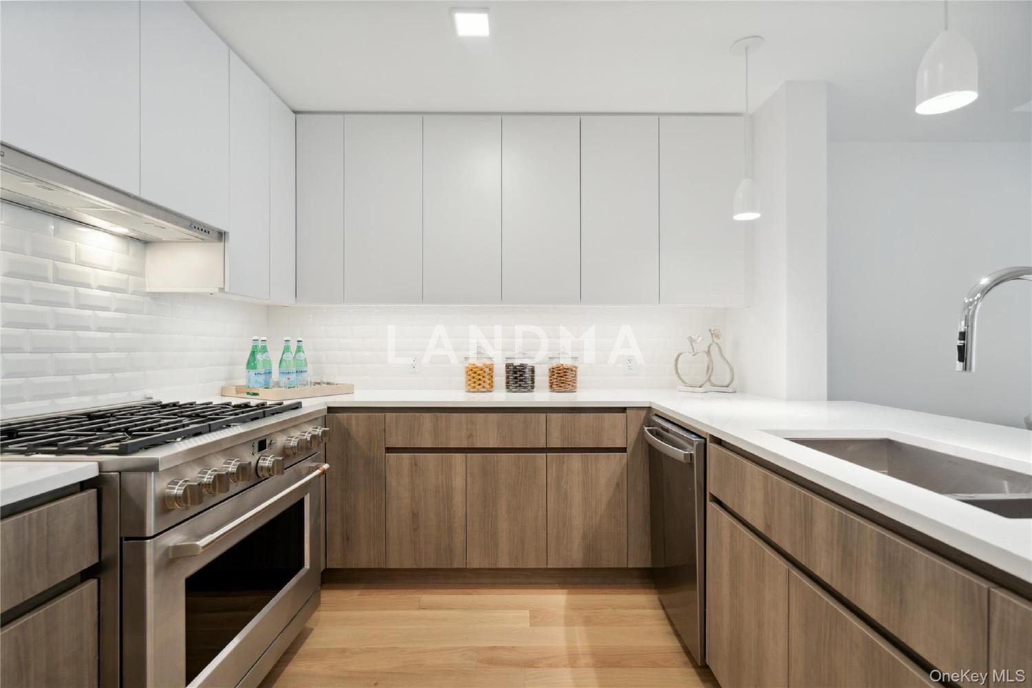 218 Middle Neck Road  Unit 302 官网图片 25