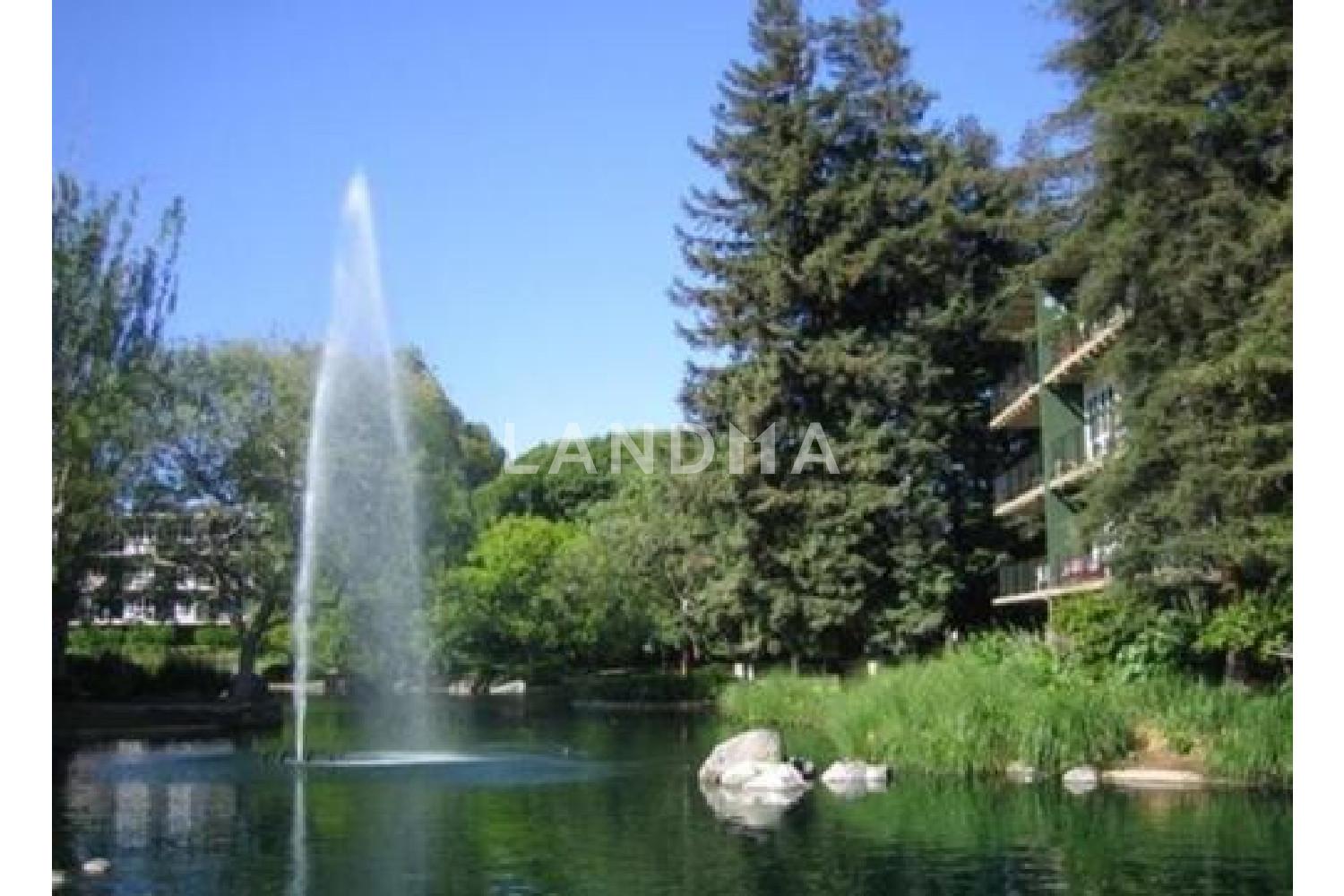 934 Peninsula Avenue #301 官网图片 36