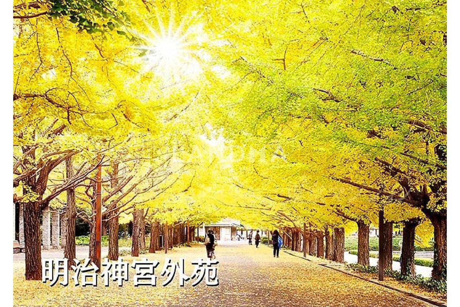 青山ザ・タワー 官网图片 17