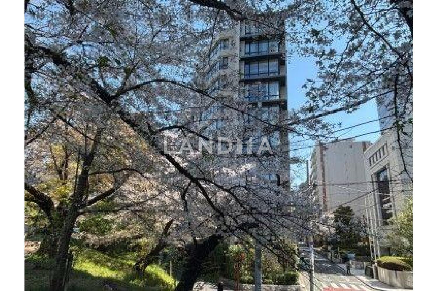 ブランズ九段北 官网图片 6