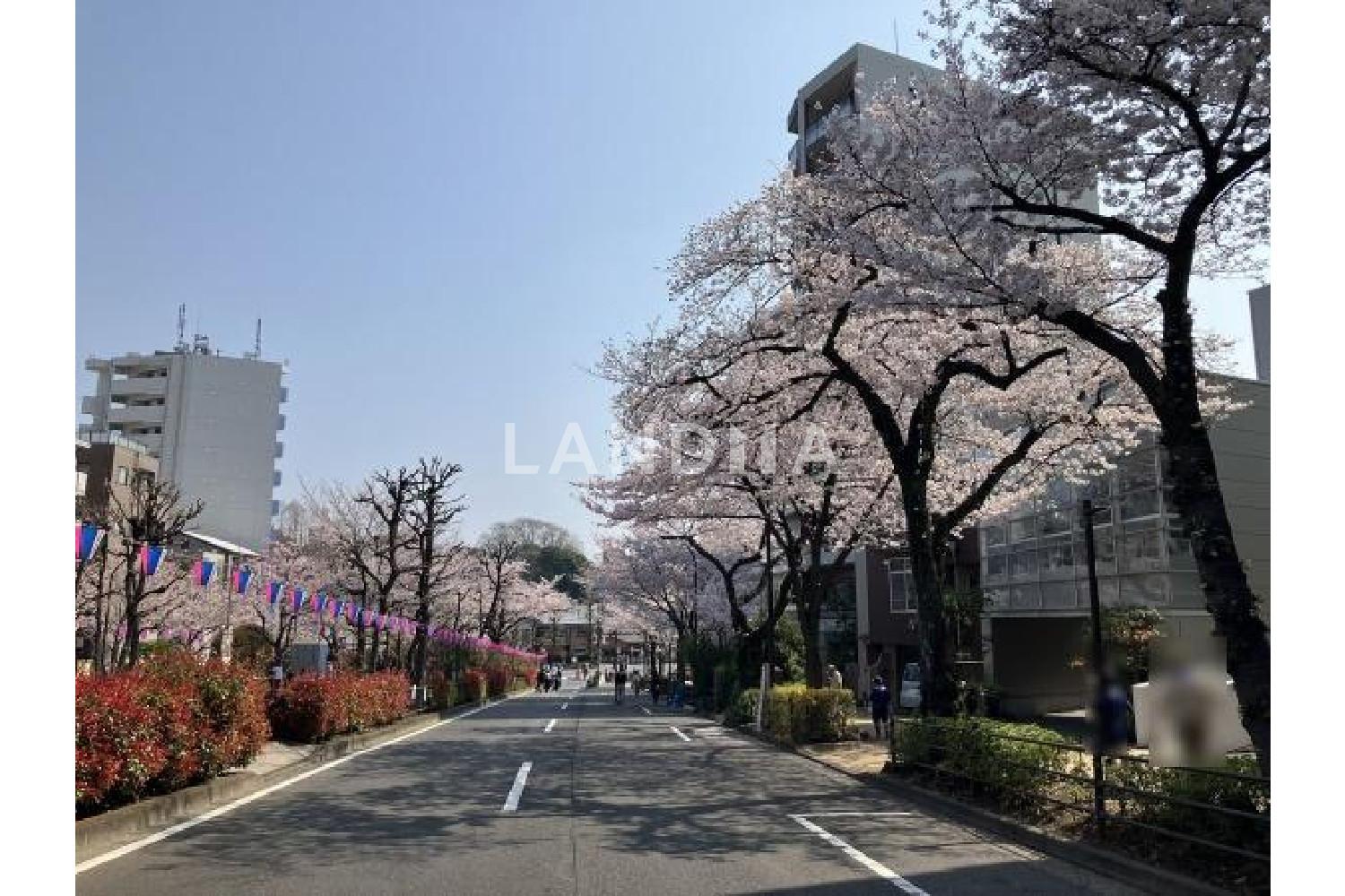 ディアナコート小石川播磨坂 官网图片 13