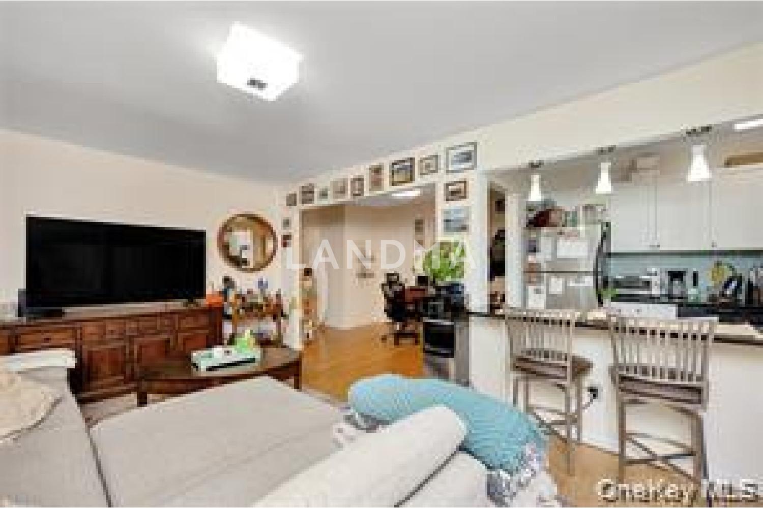 251 W Broadway  Unit 306 官网图片 6