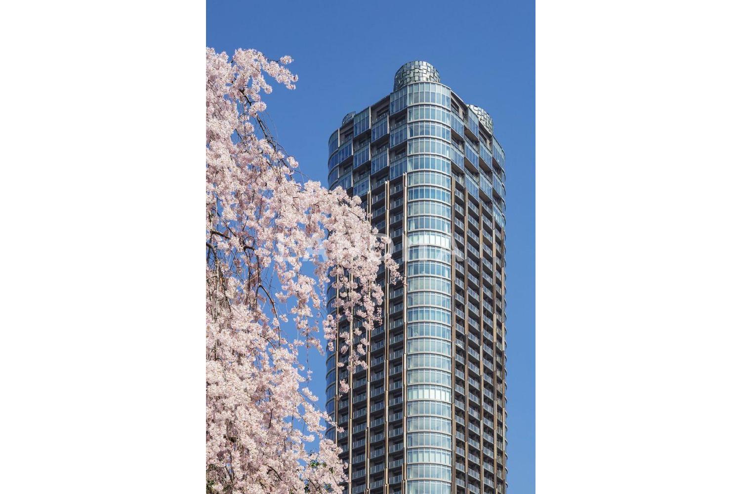 パークコート赤坂檜町ザ タワー 官网图片 3