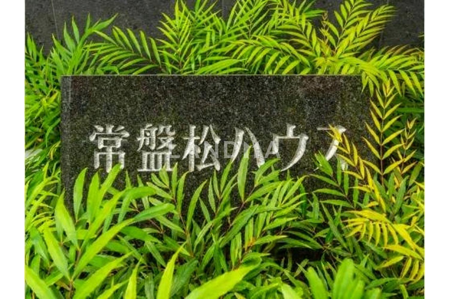 常盤松ハウス 官网图片 10