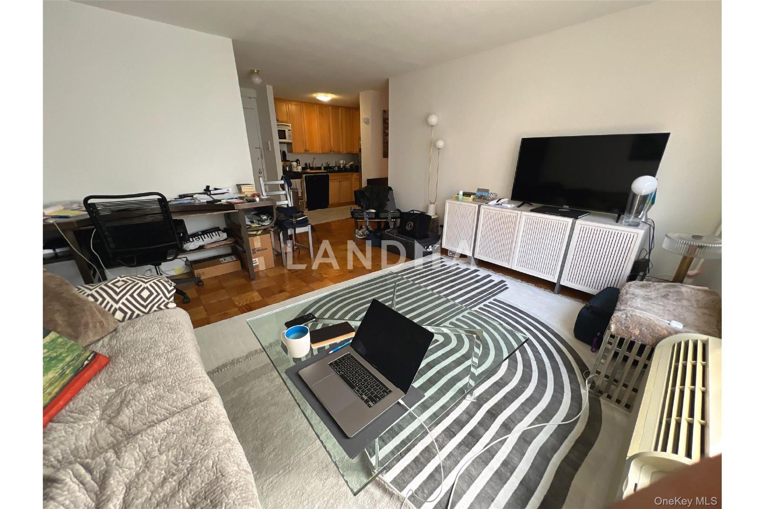 333 E 45th Street  Unit 17F 官网图片 3