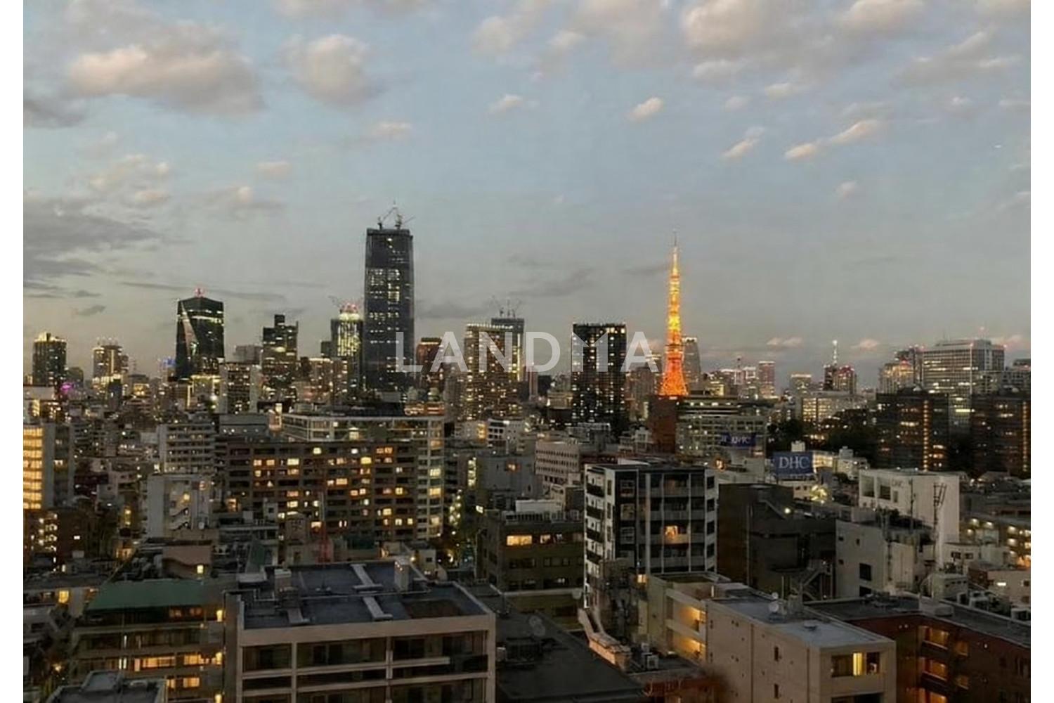 白金ザ・スカイ　東棟 官网图片 11