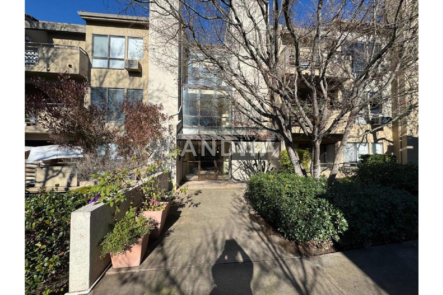 39034 Guardino Drive #206 官网图片 14