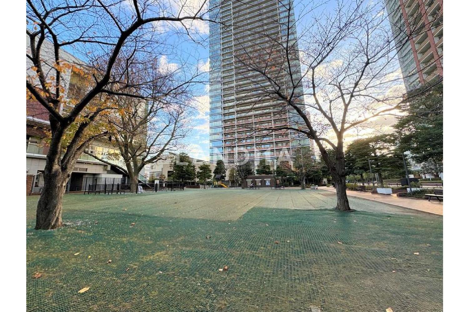 芝浦アイランドグローヴタワー 官网图片 21
