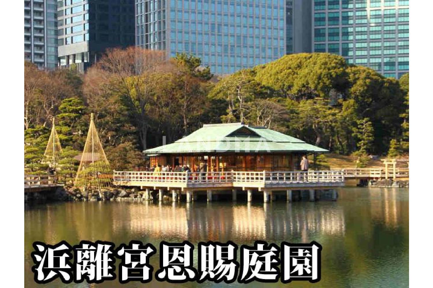 東京ツインパークス　ライトウィング 官网图片 18