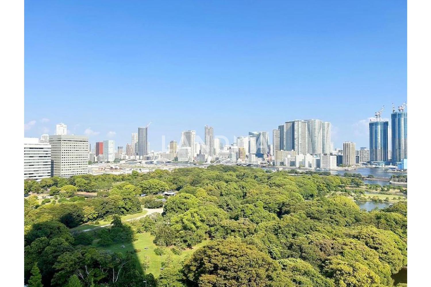 東京ツインパークス ライトウイング 官网图片 13