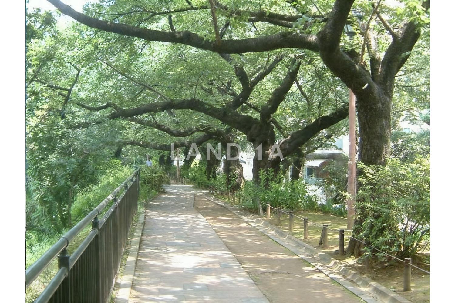 プレミスト六番町 官网图片 19