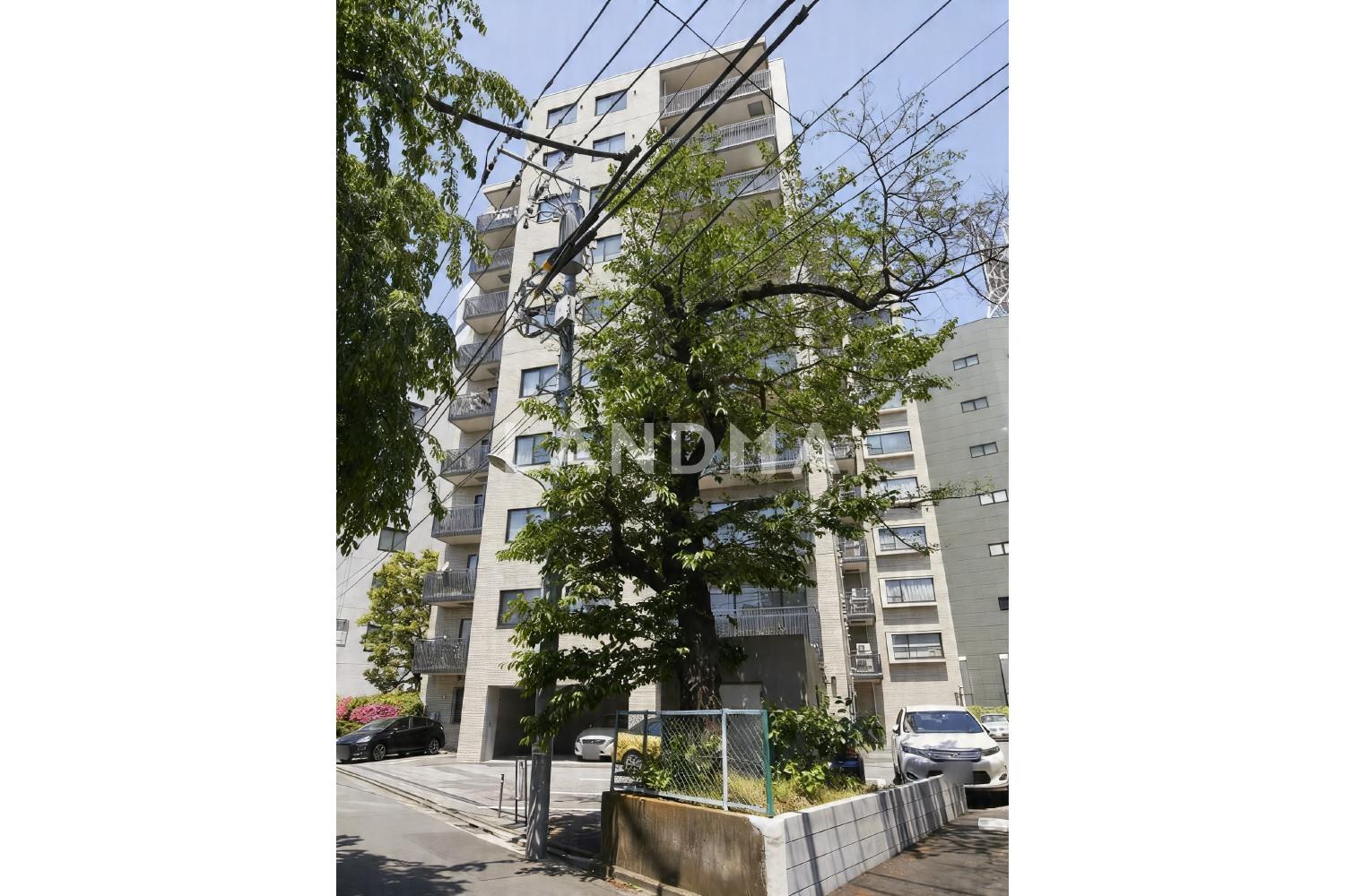 南青山パークマンション 官网图片 13
