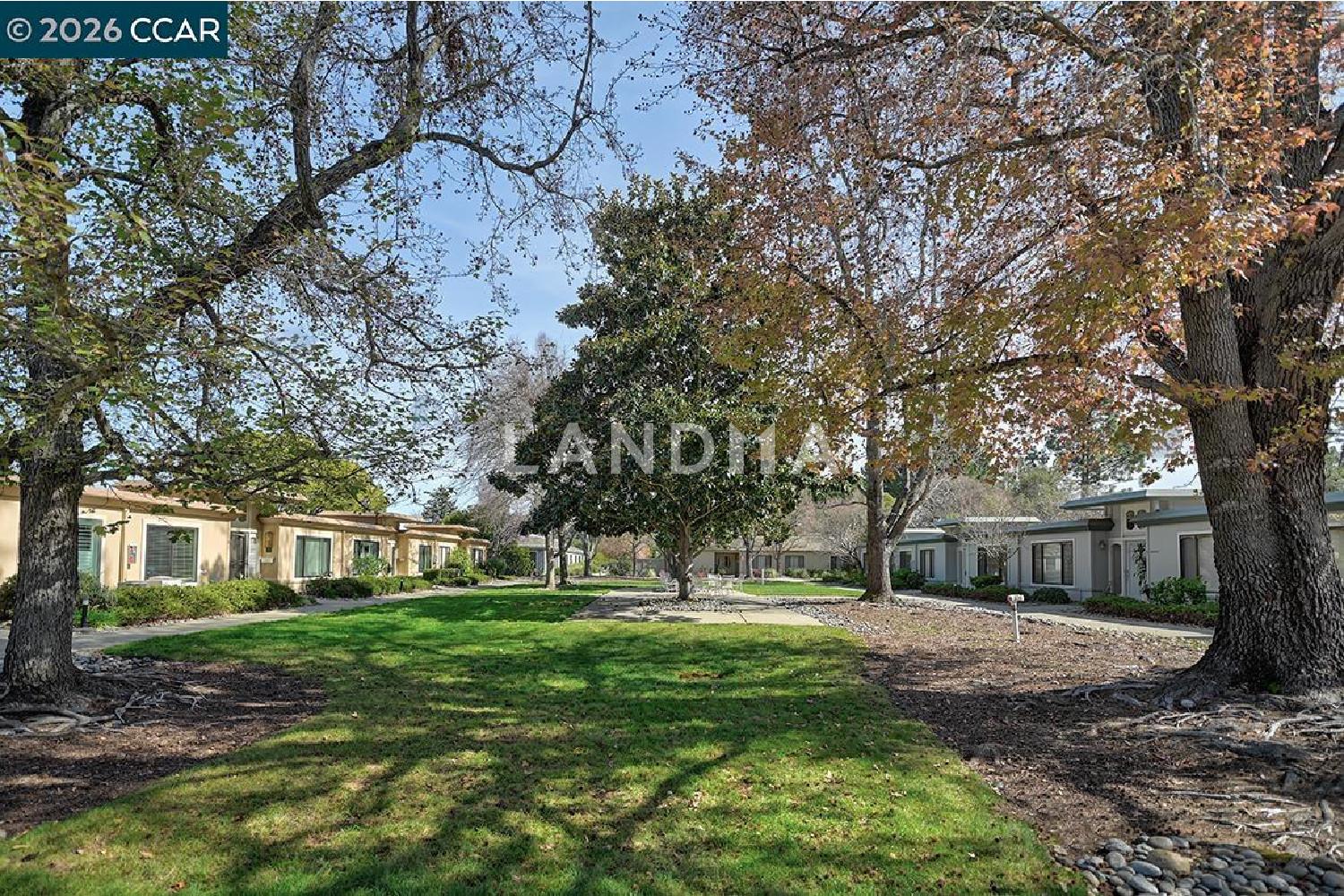 2016 Pine Knoll #2 官网图片 44