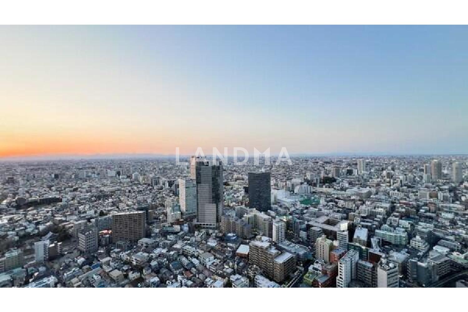ザ・パークハウス西新宿タワー60 官网图片 8