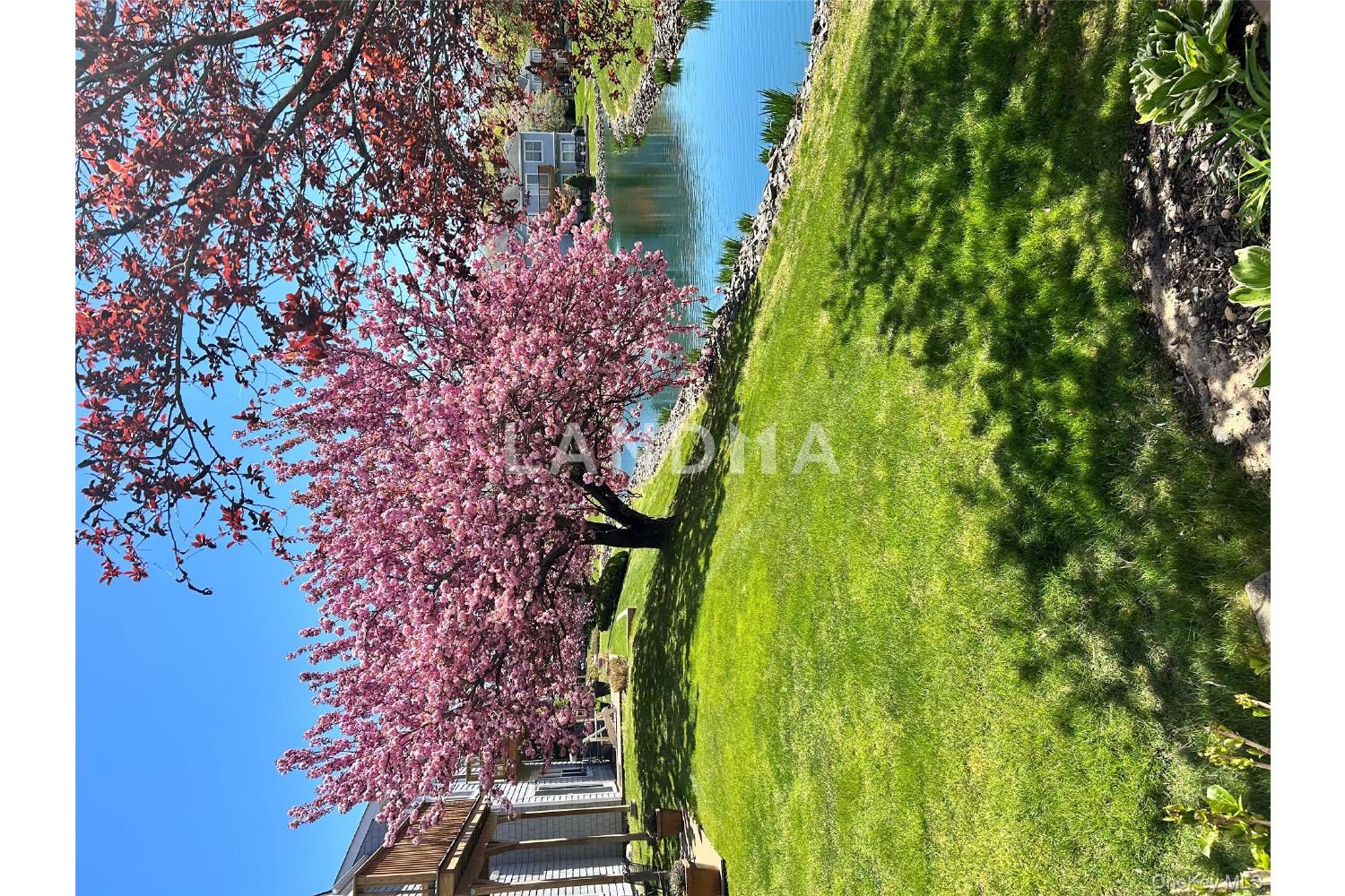 104 Lakebridge Drive N 官网图片 29