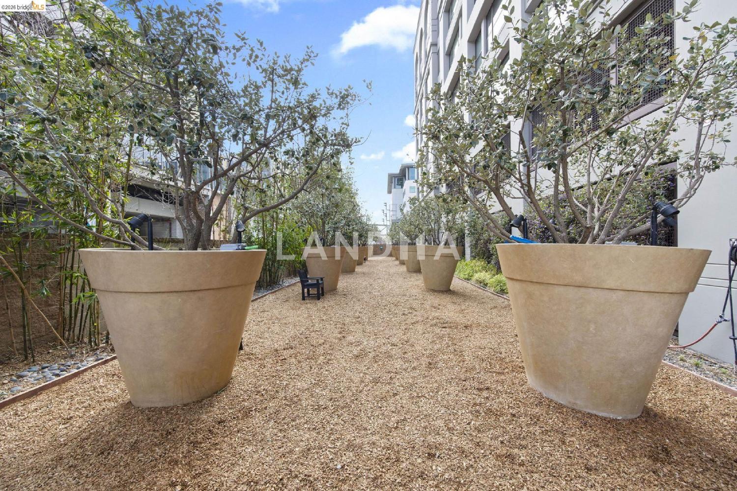 311 2nd St #311 官网图片 48