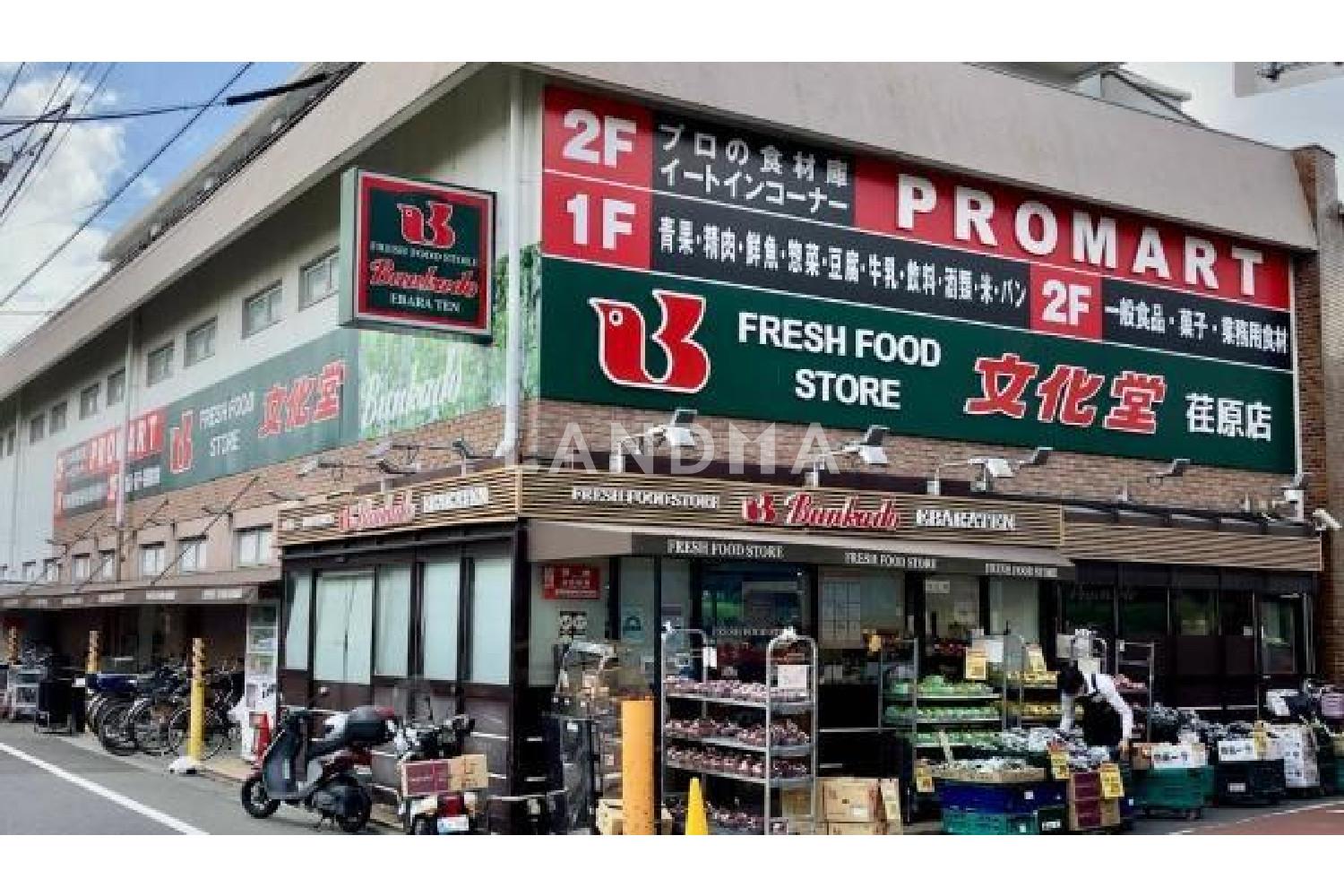 グリーンクロス西中延 官网图片 8
