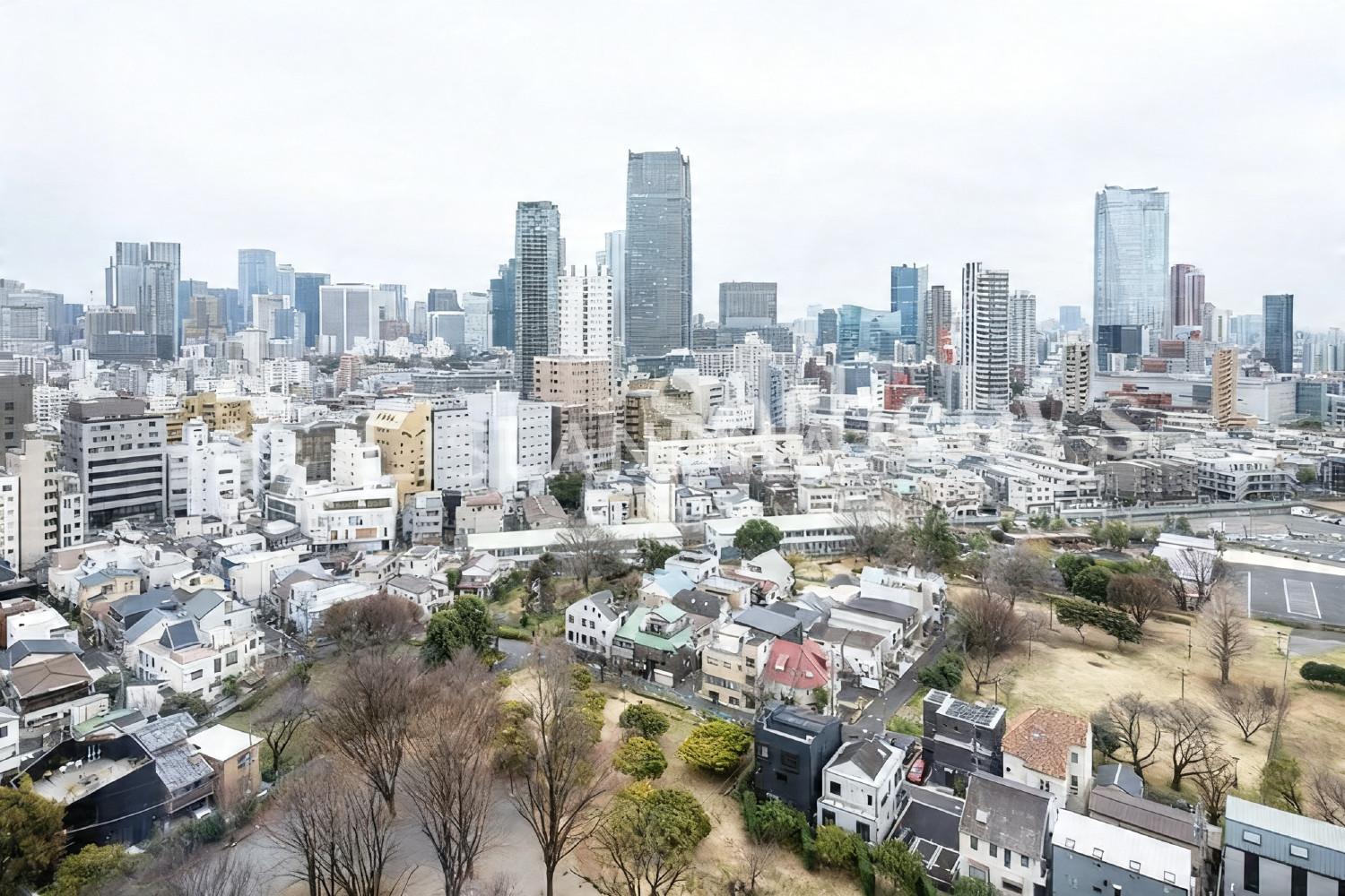 パークコート青山ザ・タワー 官网图片 9