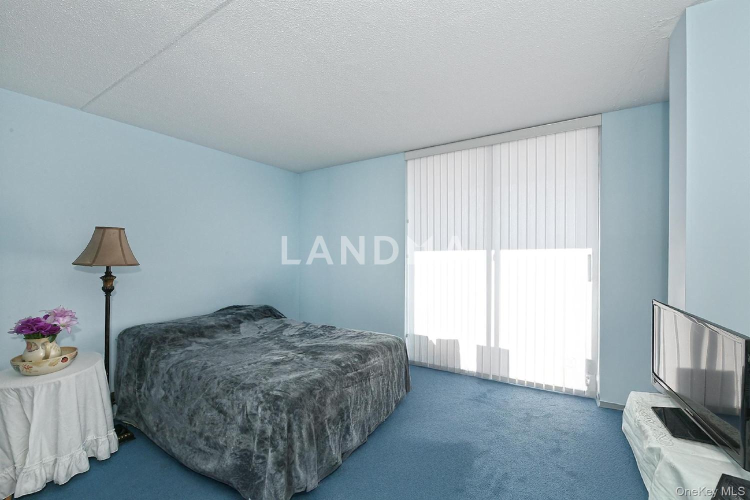 800 Willis Avenue  Unit 313 官网图片 10