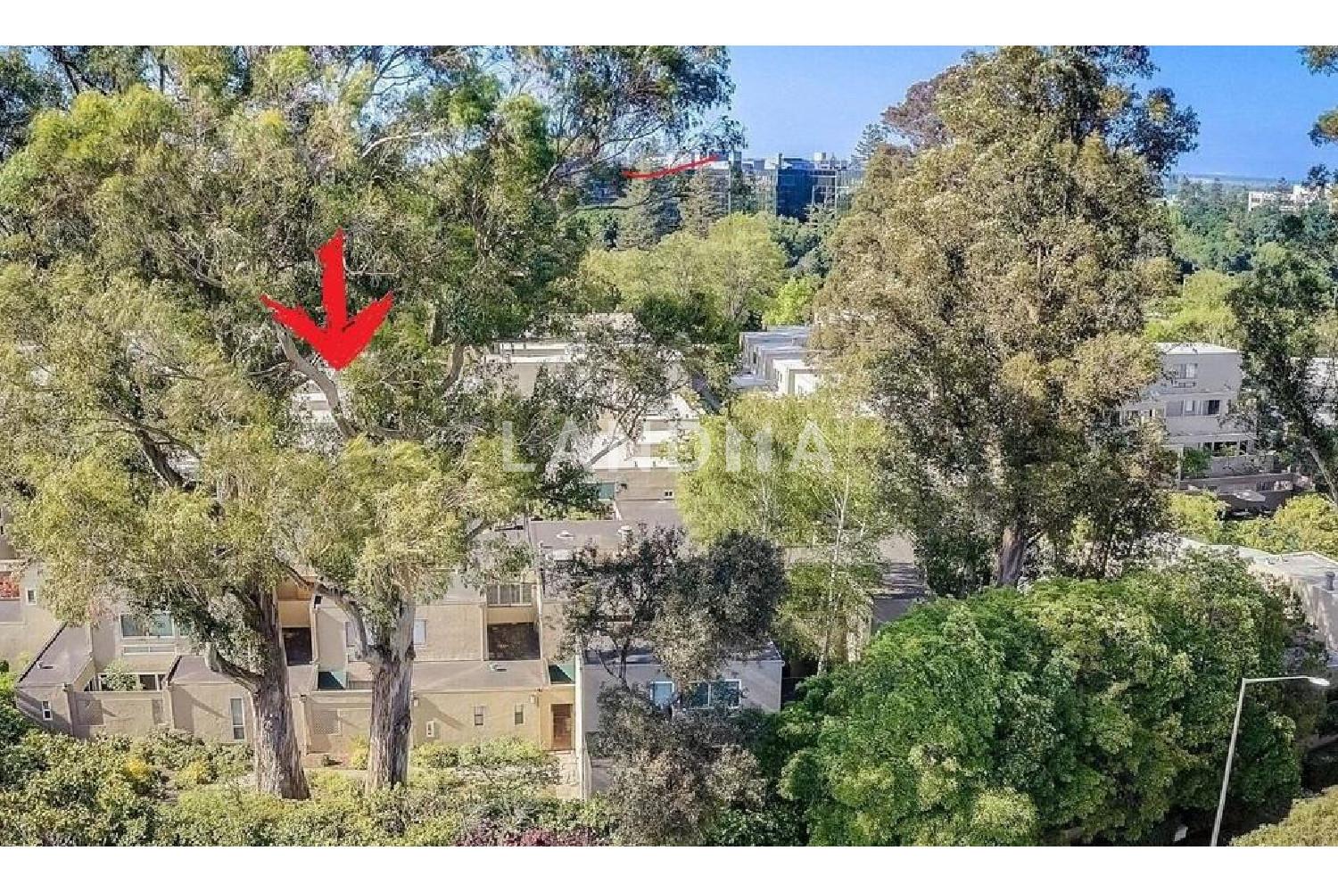 1919 Alameda De Las Pulgas #140 官网图片 29