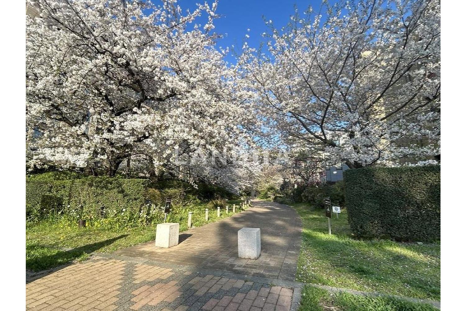 パークシティ浜田山 HOUSE C 官网图片 11