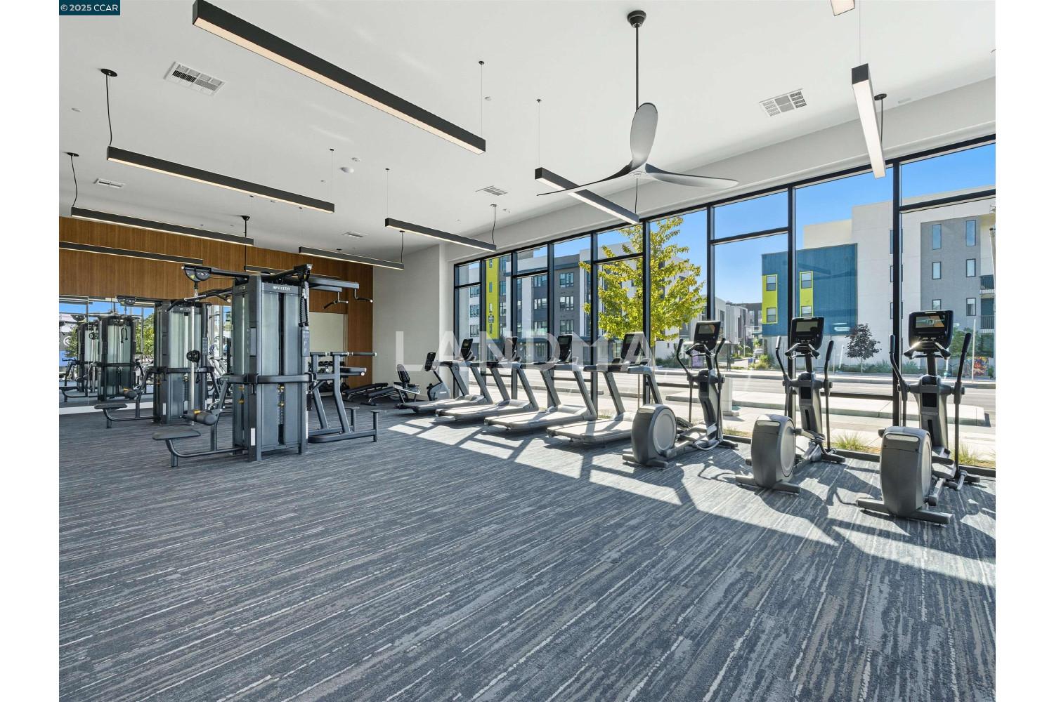 44862 S Grimmer Blvd #201 官网图片 44